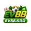 ev88krd's avatar