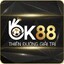 ok8833com1's avatar