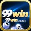 99wincodes