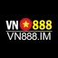 vn888im's avatar