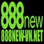 888newnetvn's avatar