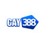 cay388vin's avatar