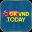 okvndtoday's avatar