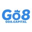 go8capital's avatar