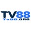 tv88org's avatar