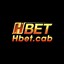 hbetcab's avatar