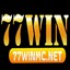 77Winmcnet's avatar