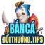 bancadoithuongtips's avatar