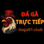 daga01club's avatar