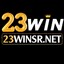 23Winsrnet's avatar