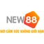 new882infoo