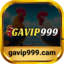 gavip999cam's avatar