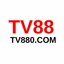 tv880top's avatar