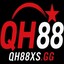 QH88infoo's avatar