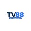 tv88incnet's avatar