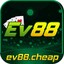 ev88cheap's avatar