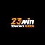 23win1beer's avatar