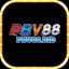 Pbv88bid1vn's avatar
