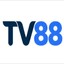 tv88mx's avatar