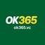 ok365vc's avatar