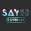 say88app's avatar