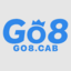 go8cab's avatar