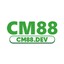 cm88dev's avatar