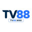 tv88wiki's avatar