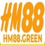 hm88green's avatar