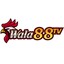 wala88tv's avatar