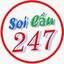 soicau247netnet's avatar