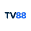 tv88gbnet's avatar