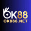 ok886net's avatar