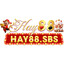hay88sbs's avatar