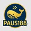 paus188slot's avatar