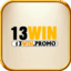 13winpromo's avatar