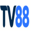 tv88global's avatar