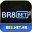br8netbr's avatar