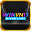 winvn13's avatar