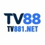 tv881net's avatar