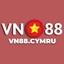 vn88cymru's avatar