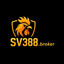 sv388broker's avatar