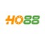 ho88now1's avatar