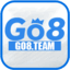 go8team's avatar