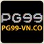 Pg99vnco's avatar