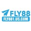 fly881uscom's avatar