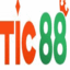 tic88net