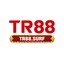 tr88surf's avatar