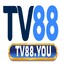 tv88you's avatar