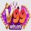 v99winonl's avatar